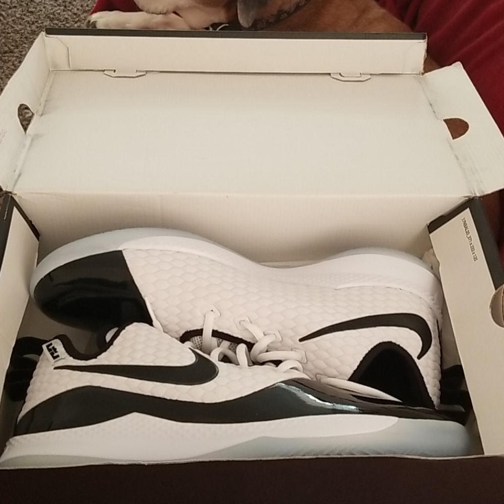 Nike lebron witness 3